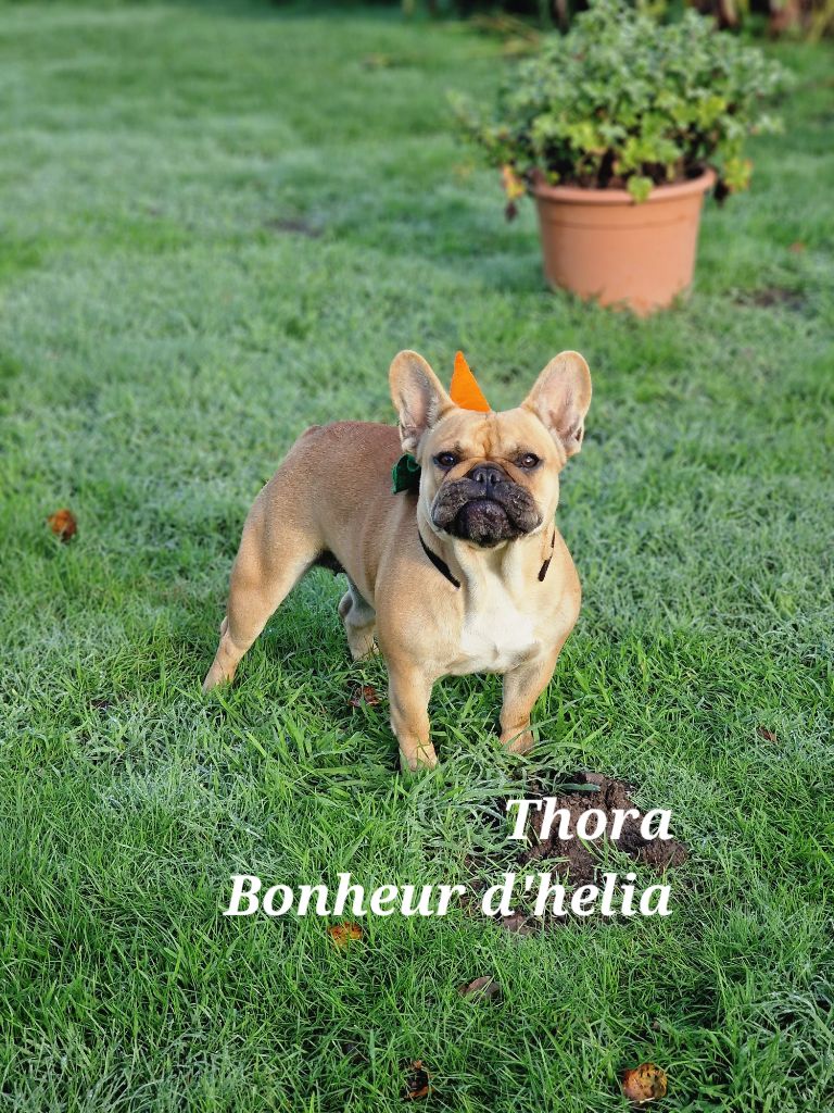 Thora Bonheur D'Helia